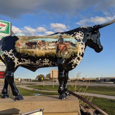 Cow