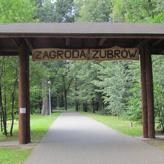 European Bison Show Farm in Pszczyna