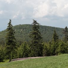 Czarna Kopa (Masyw Śnieżnika)