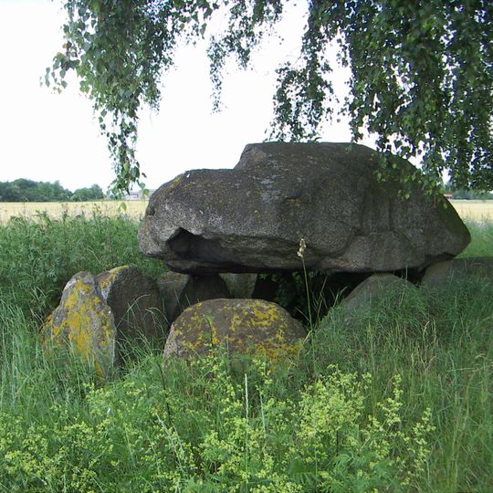 Großsteingräber bei Damerow
