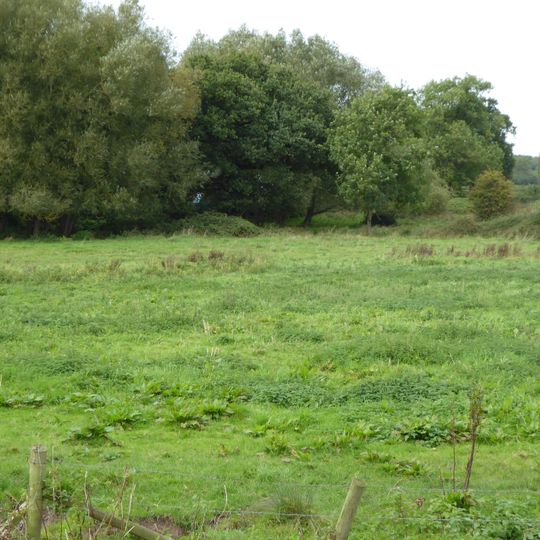 Newton Burgoland Marshes