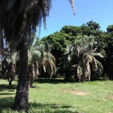 Unellez Botanical Garden