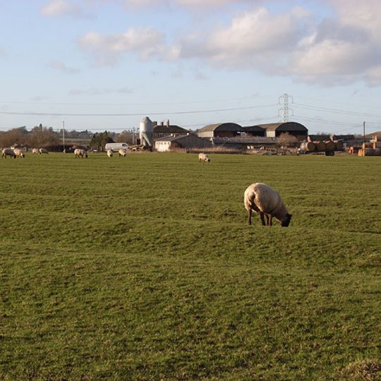 White House Farmhouse
