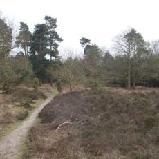 Blaxhall Common