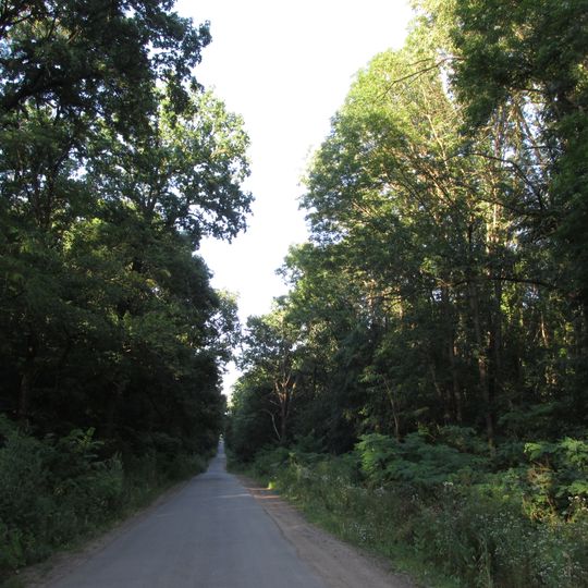 Wendytschanska Dubyna