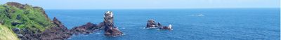 Panoramic View 1