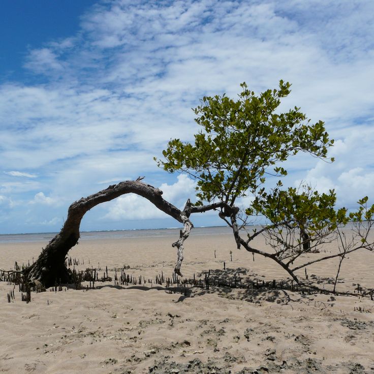 Rifugi sull'isola di Boipeba