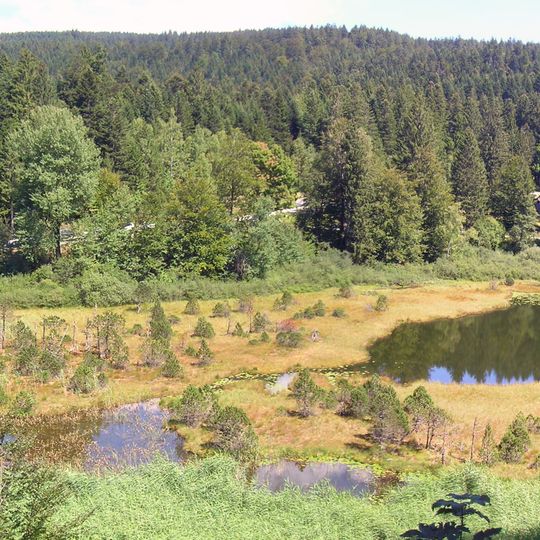 Lac Luitel