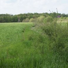 Eichen-Hainbuchenwald am Hövingsfeld