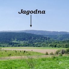 Jagodna