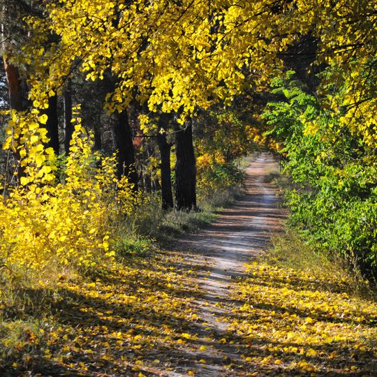 Park des Regionalkrankenhaus Tscherkassy
