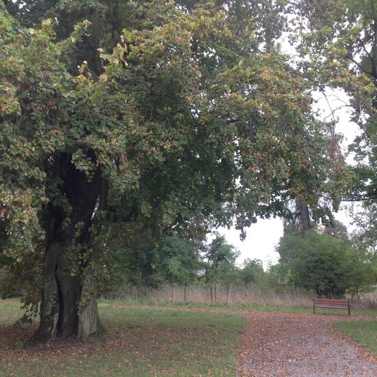 Manor park in Planta