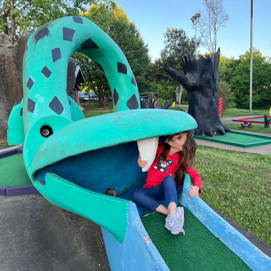 Sir Goony's Family Fun Center