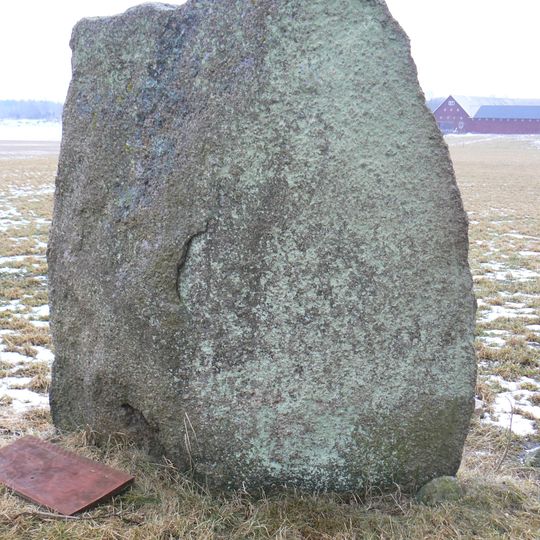 Östergötlands runinskrifter 116