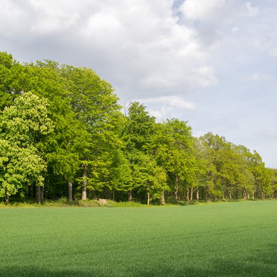 Bielefelder Osning mit Teutoburger Wald und Osningvorbergen sowie Ravensberger Hügelland