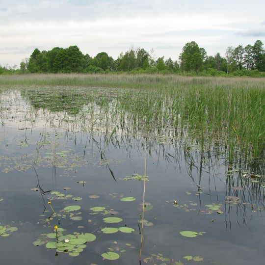 Polesie National Park