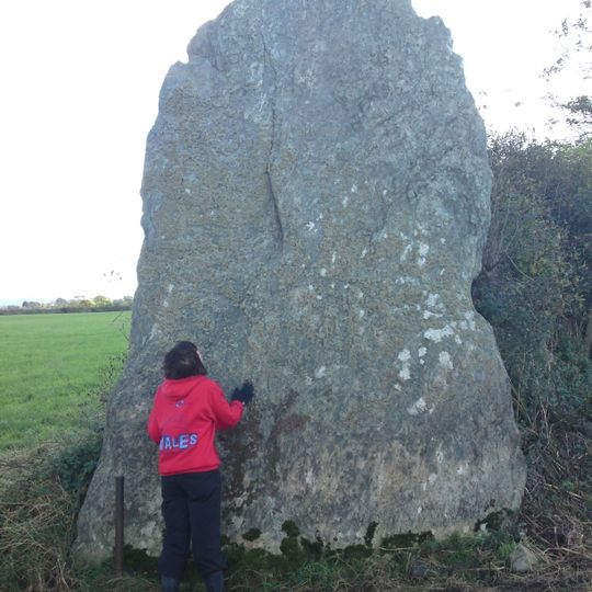 Bryn Gwyn stones