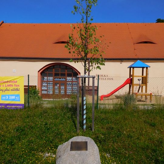 Tilia of Liberty in Kunratice