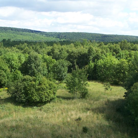 Großenbehringer Holz