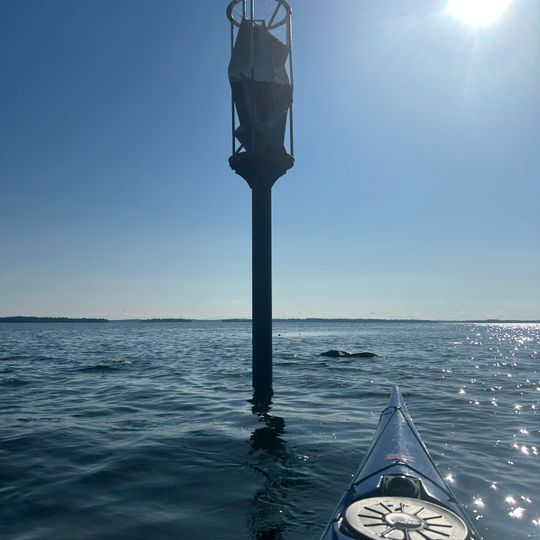 Norra Björkfjärden