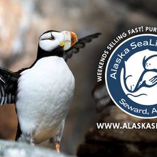 Alaska SeaLife Center