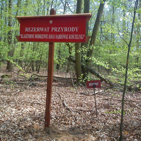 Nature reserve Klasztorne Modrzewie