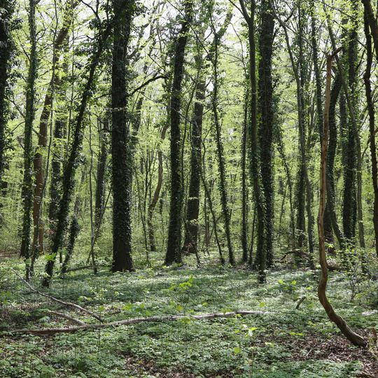 Landschaftsschutzgebiet Angerlohe