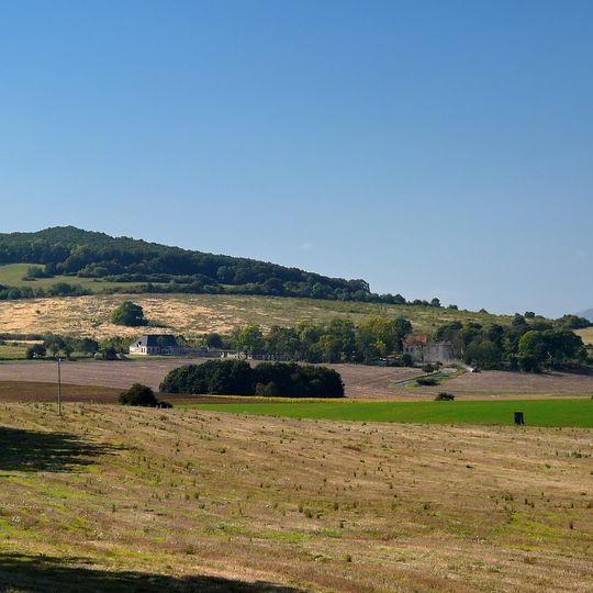 Kosmonoská výšina