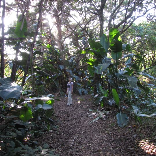 Bluff Nature Reserve