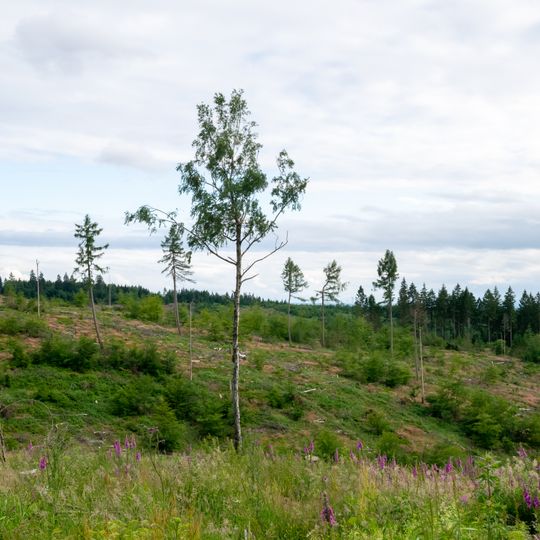 Naturschutzgebiet Eggekamm
