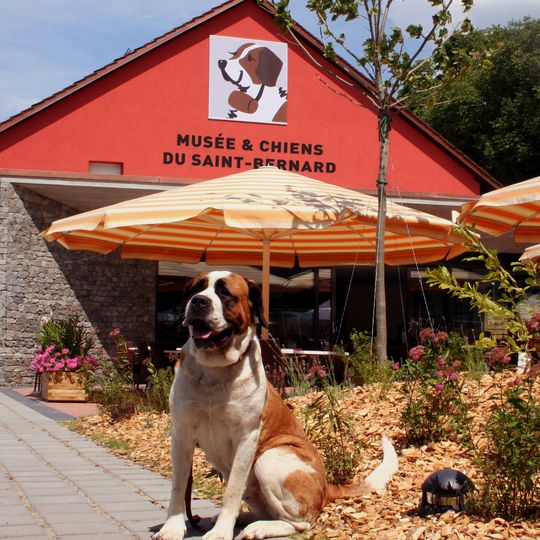 Barryland – Musée et Chiens du Saint-Bernard
