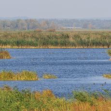 Ujście Warty National Park