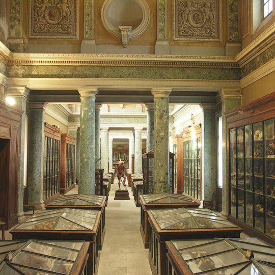 Conservatoire d'anatomie