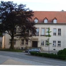 Naturdenkmal Rotbuche