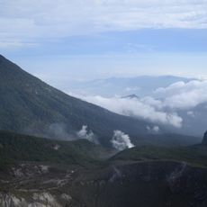 Western Java montane rain forests