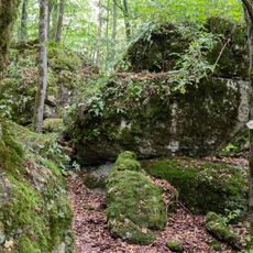 Steinerne Stadt im Wellucker Wald NW von Königstein