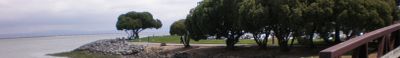 Panoramic View 1