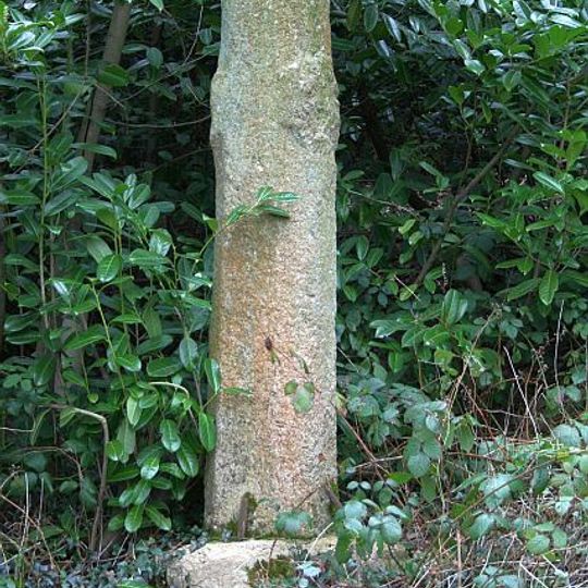 Pynes Cross, 290m east of Pynes