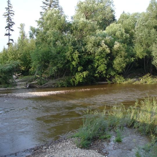 East Siberian taiga