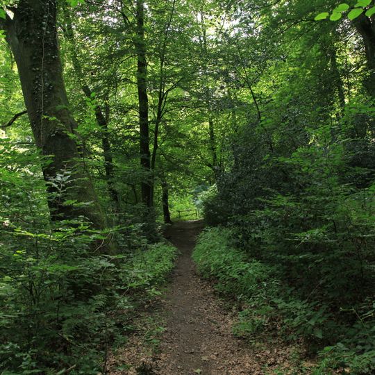 NSG Waldsiepen Hevener Strasse - Im Lottental