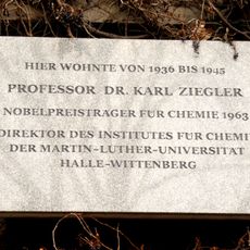 Prof. Dr. Karl Ziegler