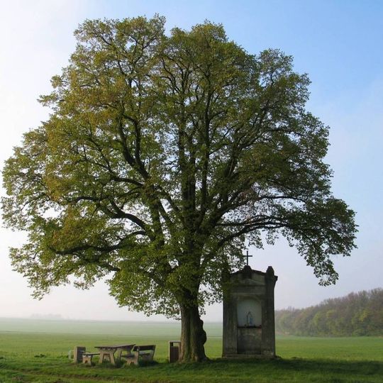 Kaplička u Dobrovíze