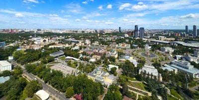 The view 2