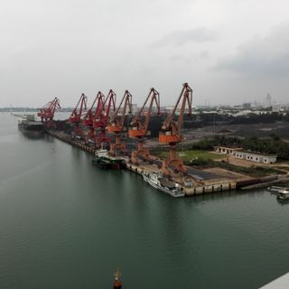 Port of Yangpu