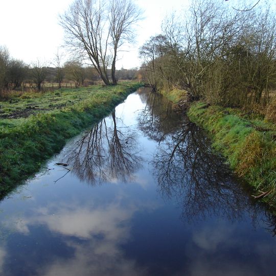 Sweetbriar Road Meadows, Norwich