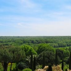 Forêt de Marly
