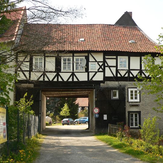 Burgruine Vienenburg