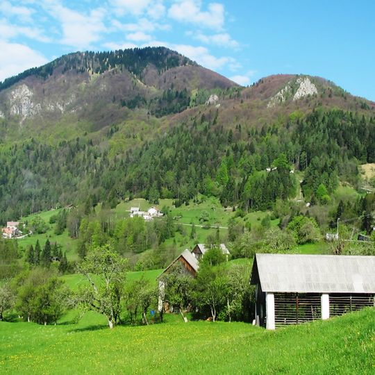 Kojca