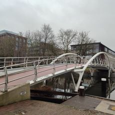 Brug 2291, Jan Swammerdambrug
