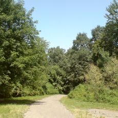Tashkent botanical garden
